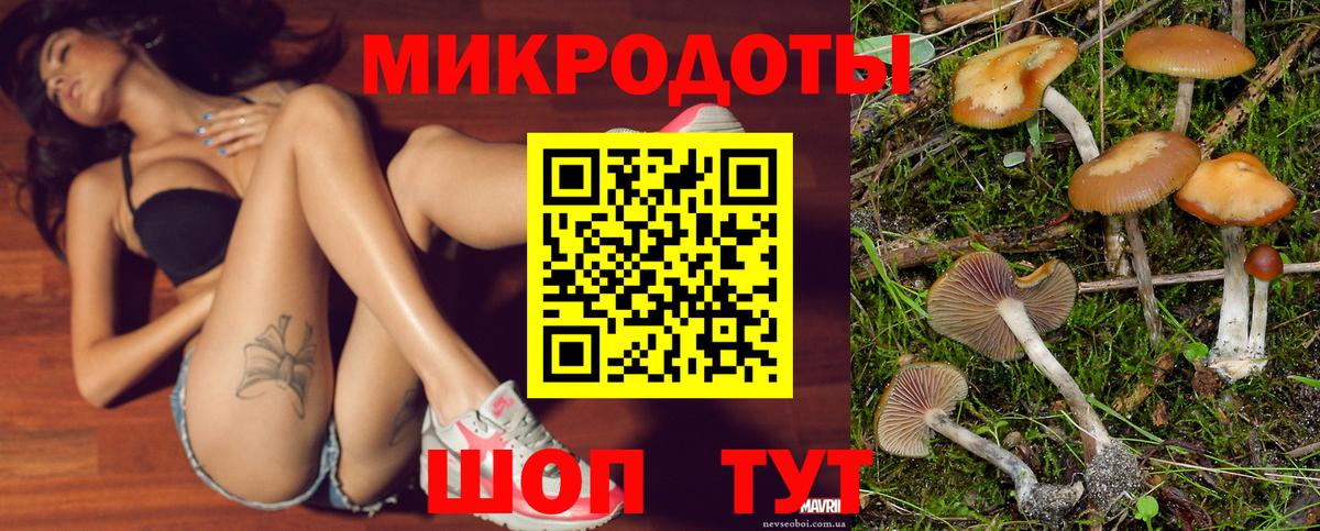 Галлюциногенные грибы мицелий  как найти   Псилоцибиновые грибы прущие грибы  Первоуральск  Вход с VPN 