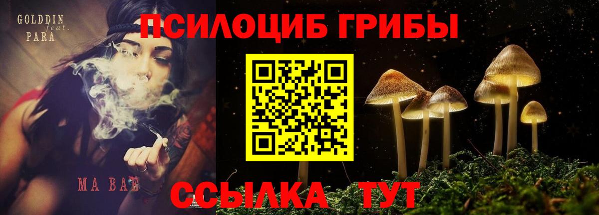 Галлюциногенные грибы мицелий Первоуральск